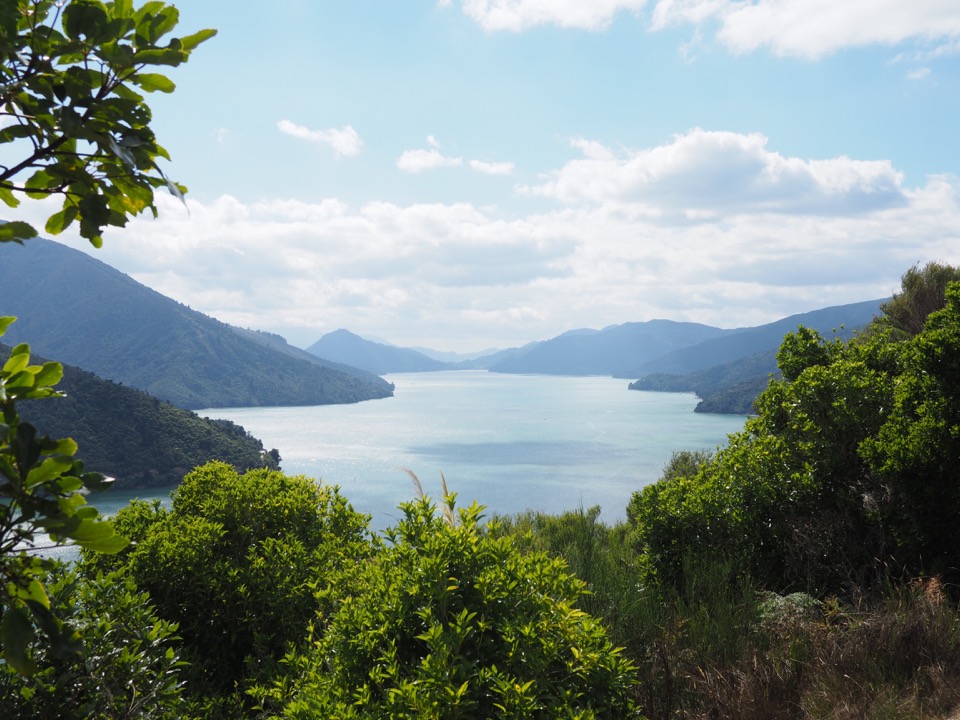 Queen Charlotte sound