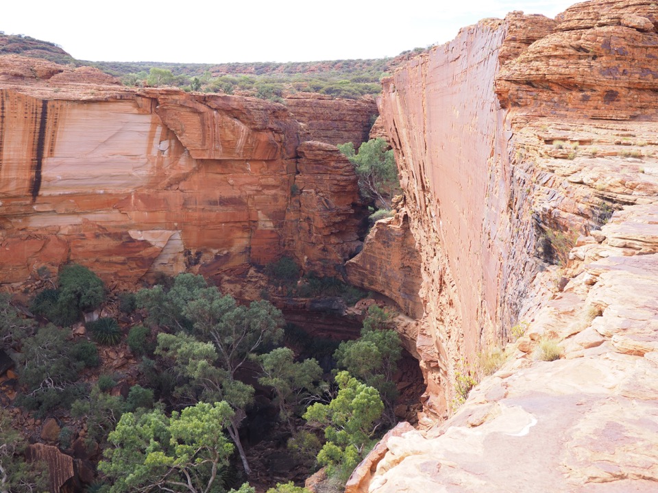 King's Canyon en famille