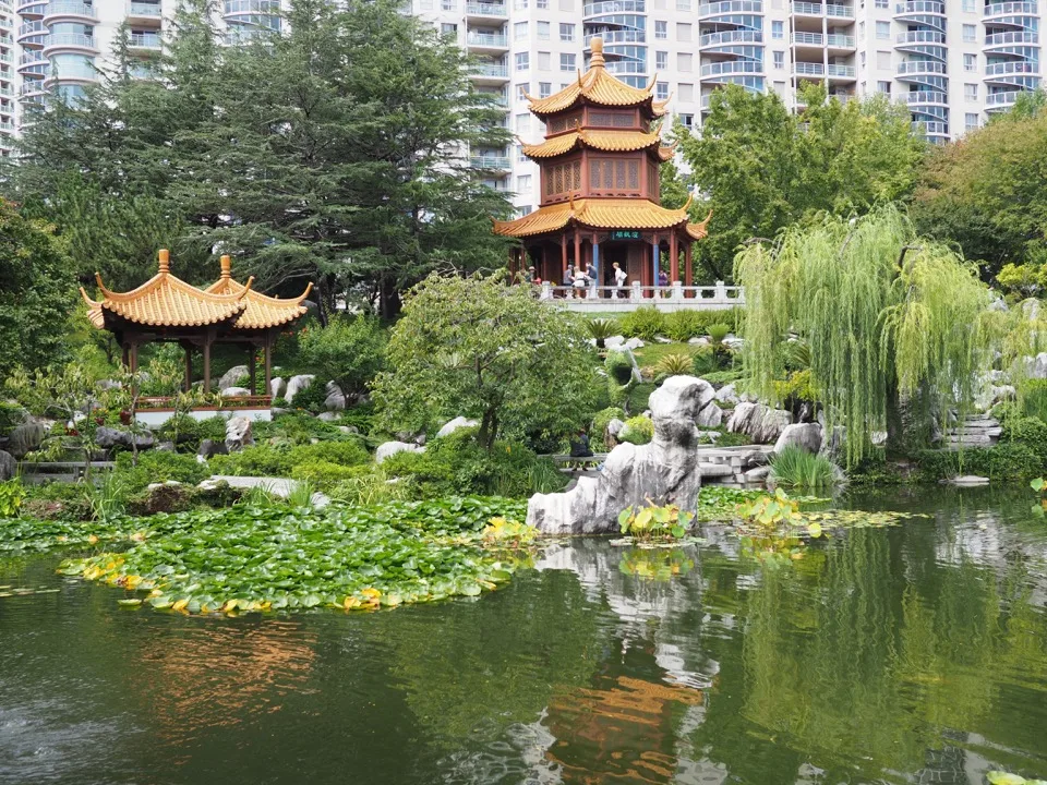 jardin chinois Sydney
