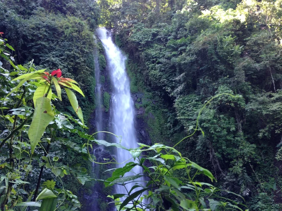 Cascade dans la forêt tropicale de Munduk à Bali
