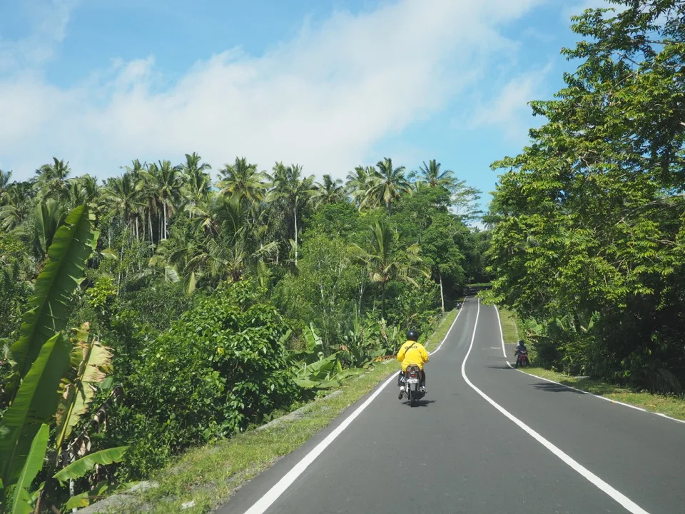 Scooter sur une route bordée de palmiers à Bali