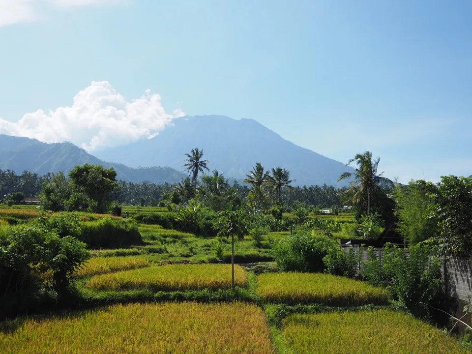 Rizières en terrasses avec volcan à l’horizon à Bali