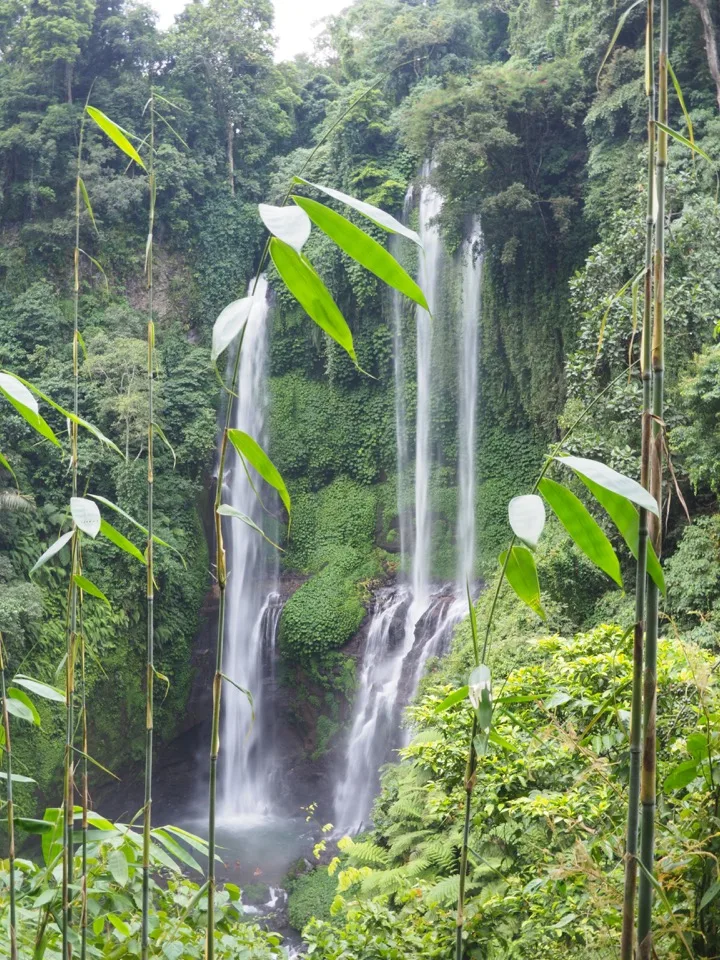 Wasserfall im tropischen Wald auf Bali