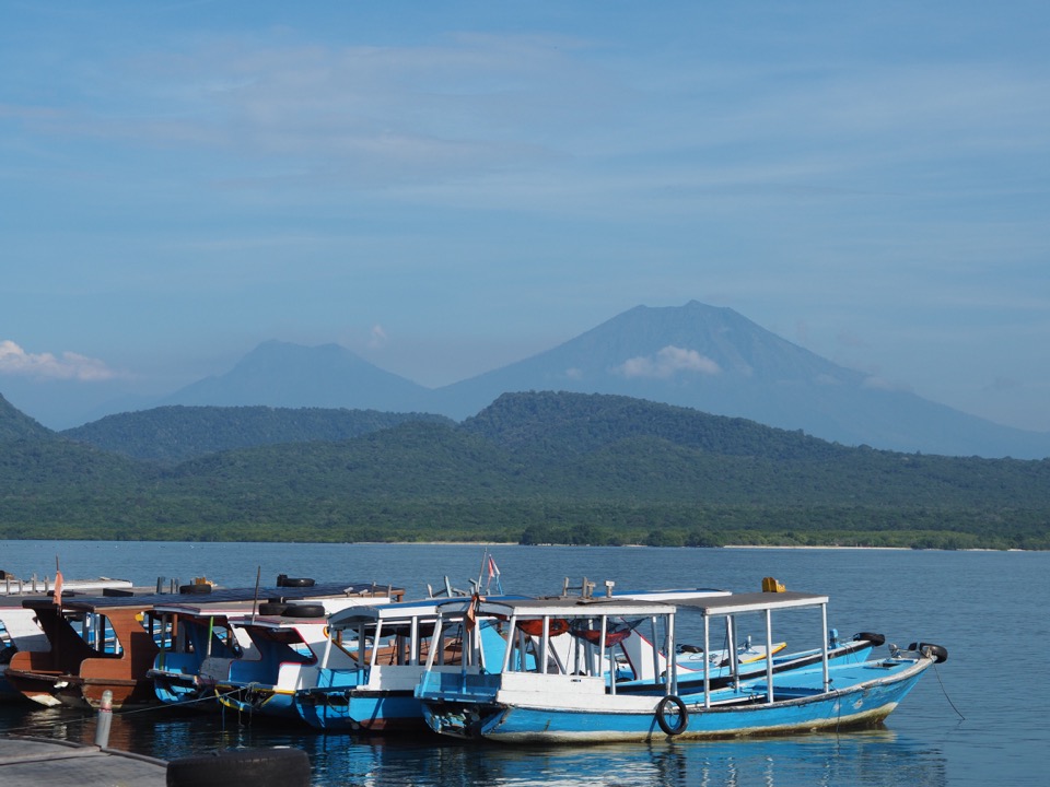 les plus belles rizières de Bali