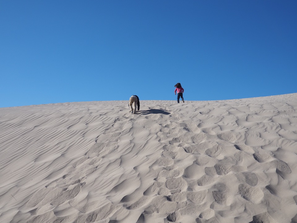 Salta et la boucle sud