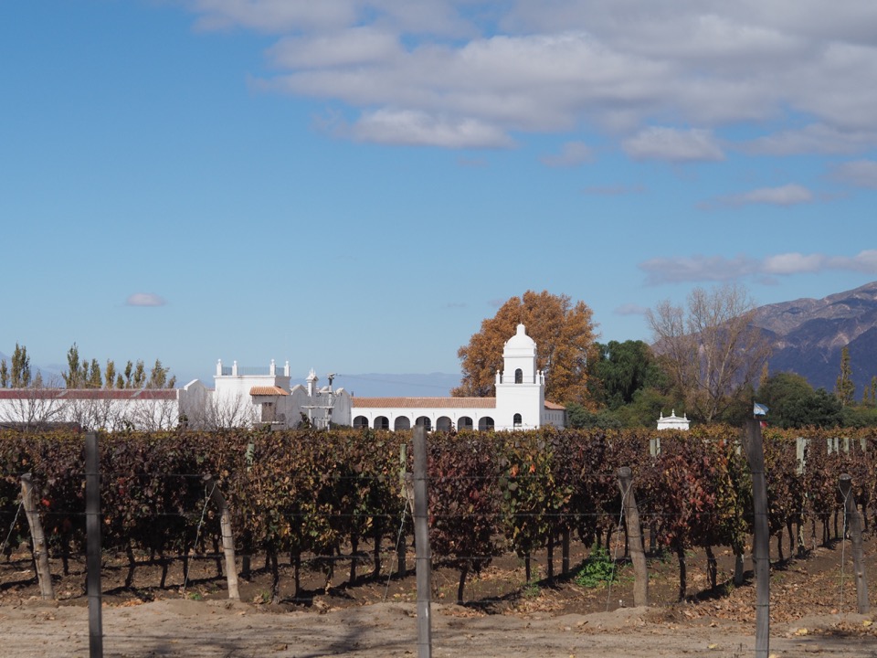 Salta et la boucle sud