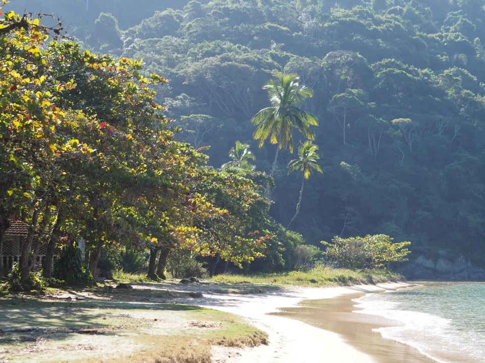 Plage tropicale ombragée sur Ilha Grande