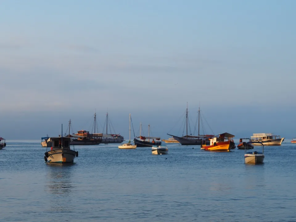 Bateaux ancrés dans une baie abritée