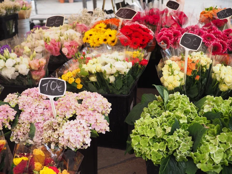 Bunter Blumenstand auf dem Markt von Aix-en-Provence