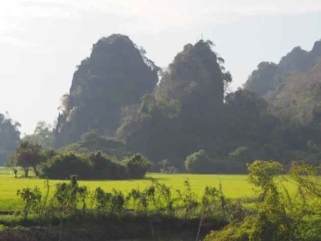 Karsts calcaires au-dessus des champs verts en Asie du Sud-Est