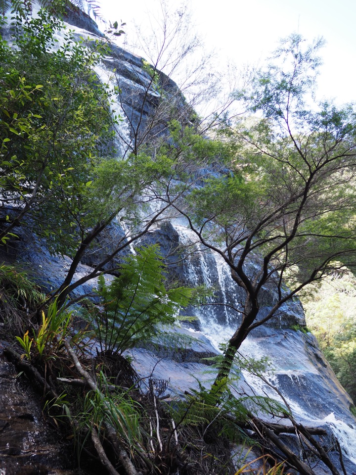 randonnées Blue Mountains