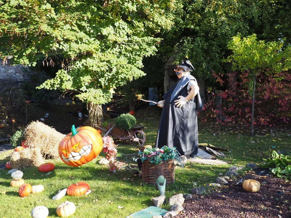 Exposition d'Halloween de sorcière et de citrouille