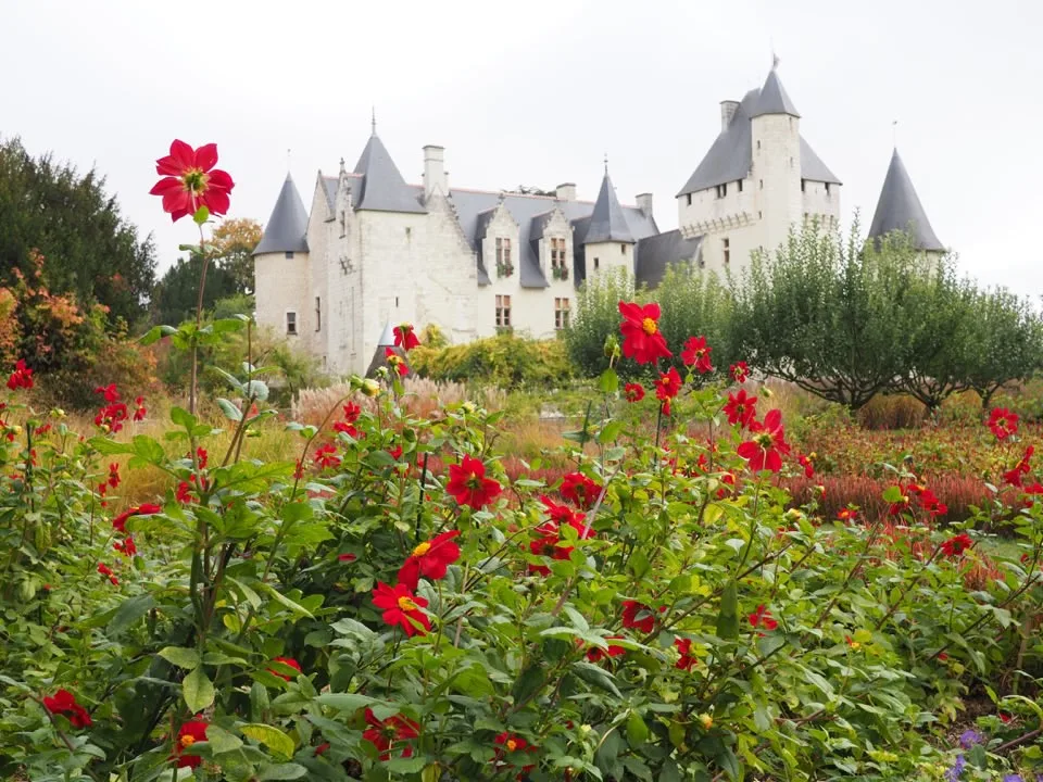 Roses encadrant le Château du Rivau