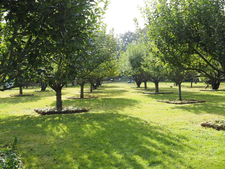 Verger dans les jardins du Château du Rivau