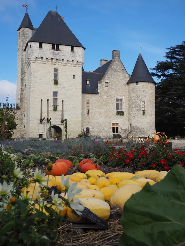 Exposition de citrouilles devant le Château du Rivau