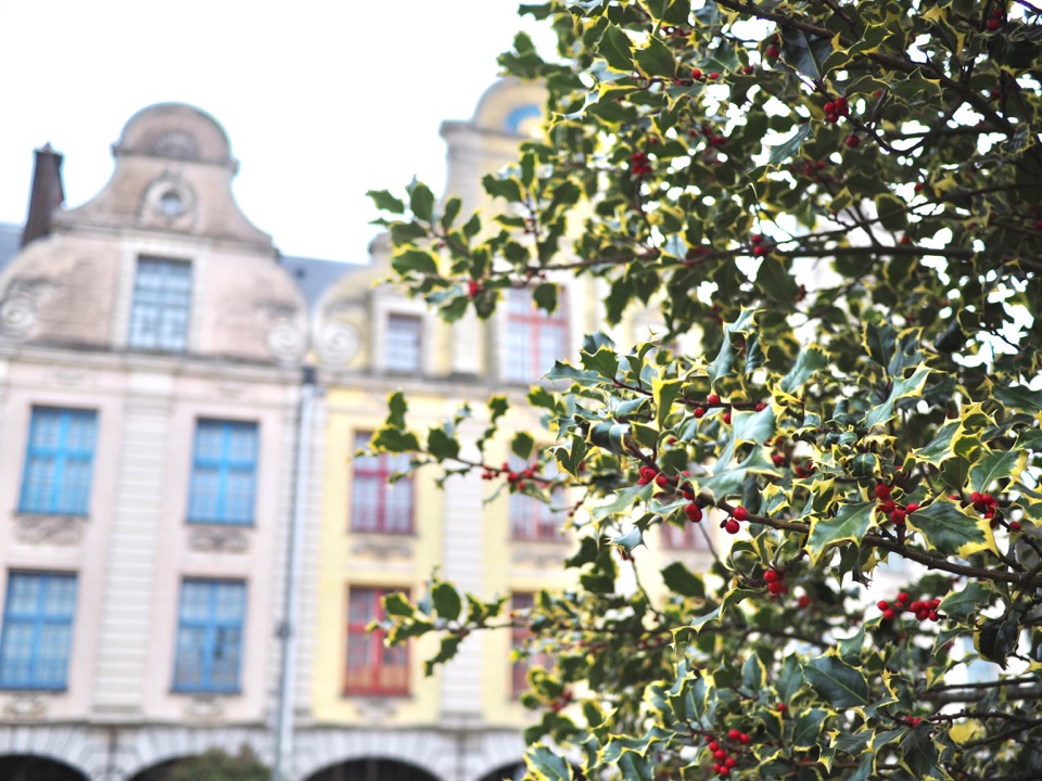 Découverte d’Arras et de son marché de Noël