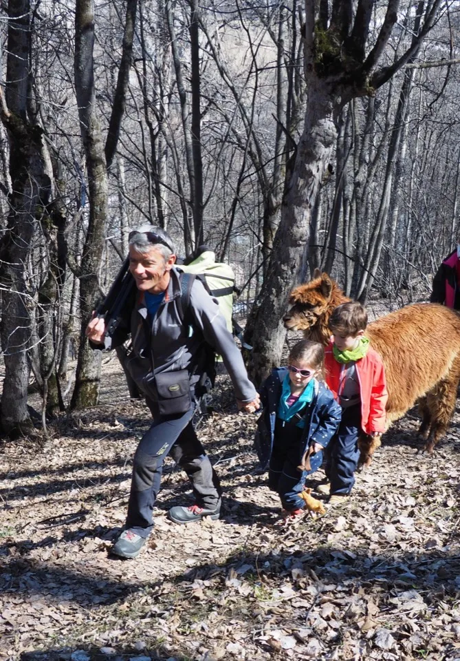 Randonnee avec lama