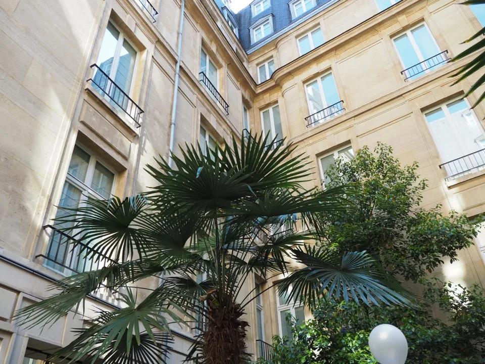 Palmiers dans la cour du Sofitel Paris Le Faubourg