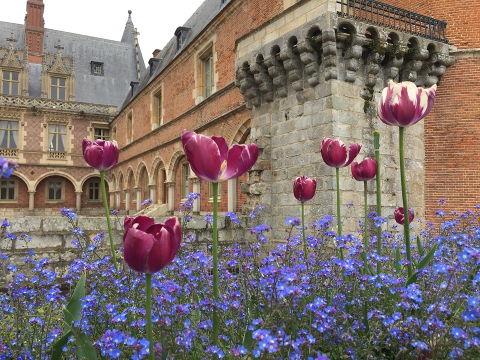 Véloscénie #2 : Maintenon et son château