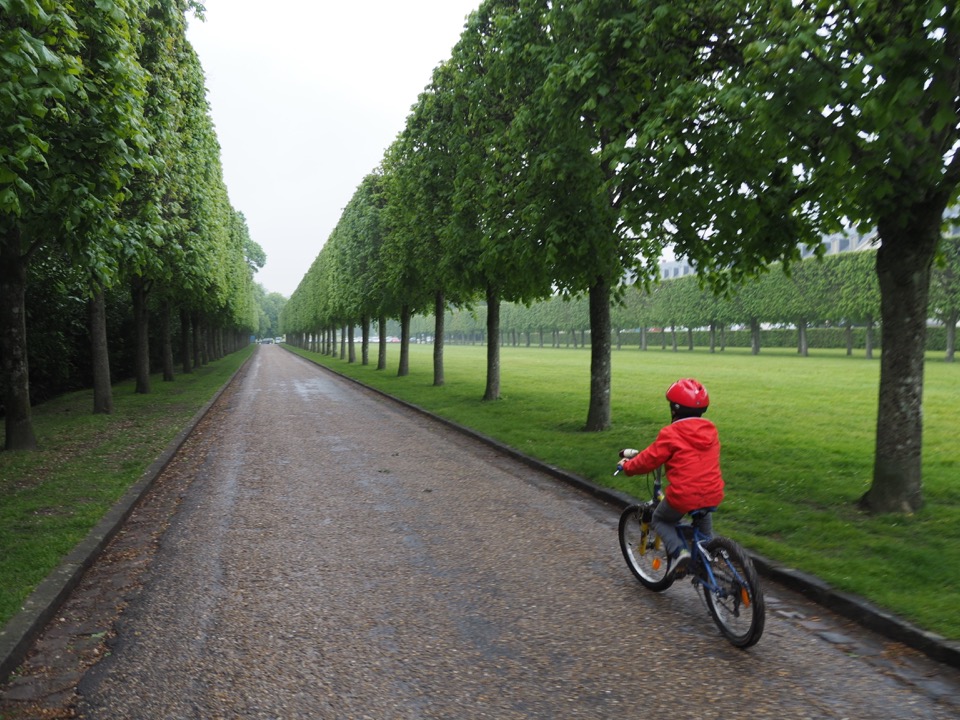 Véloscénie #1 : Rambouillet, sa forêt, sa bergerie et ses rapaces…