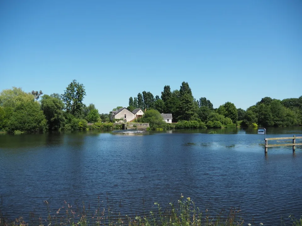 Mayenne