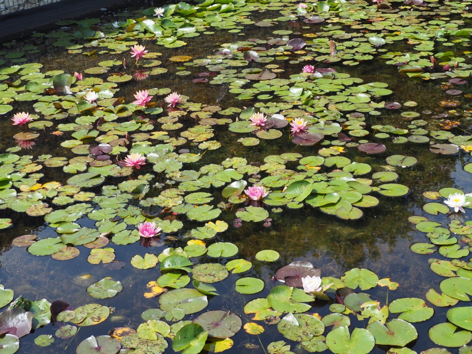Visiter Terra Botanica