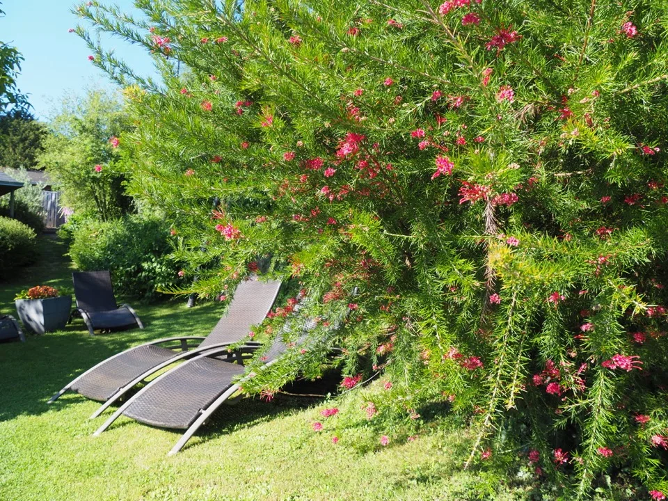 Salon de jardin à la maison d'hôtes Côté Rivière