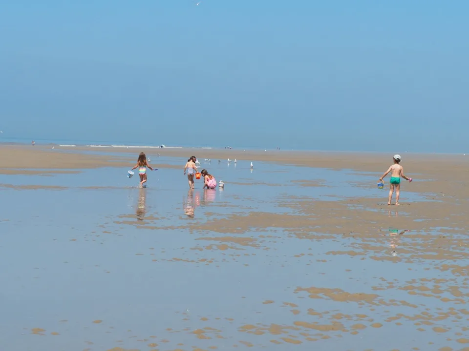 Famille jouant de dos sur la plage à marée basse