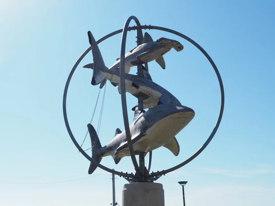 Sculpture de requins en cercle devant Nausicaá