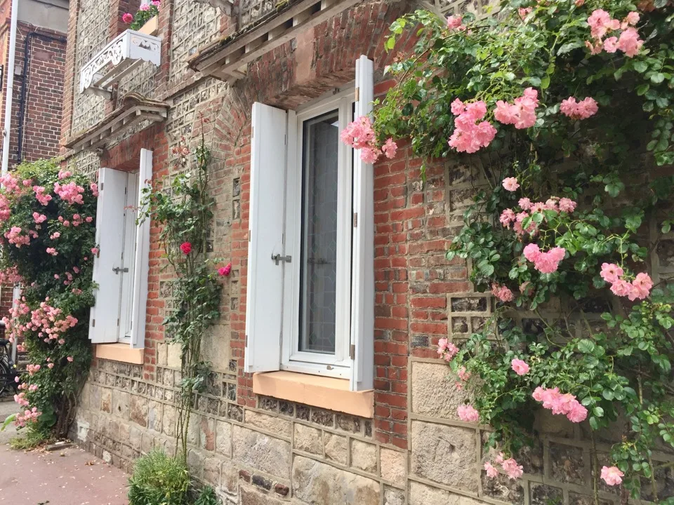 Roses roses escaladant le mur d'une maison en brique