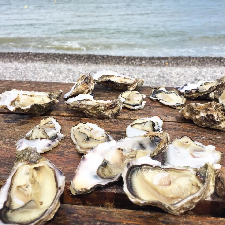 Assiette d'huîtres servie au bord de la mer