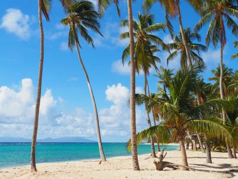Notre étape sur Grande-Terre, Guadeloupe