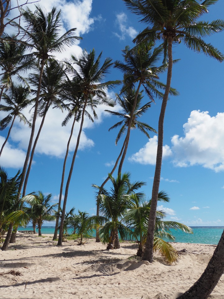 plages Marie-Galante