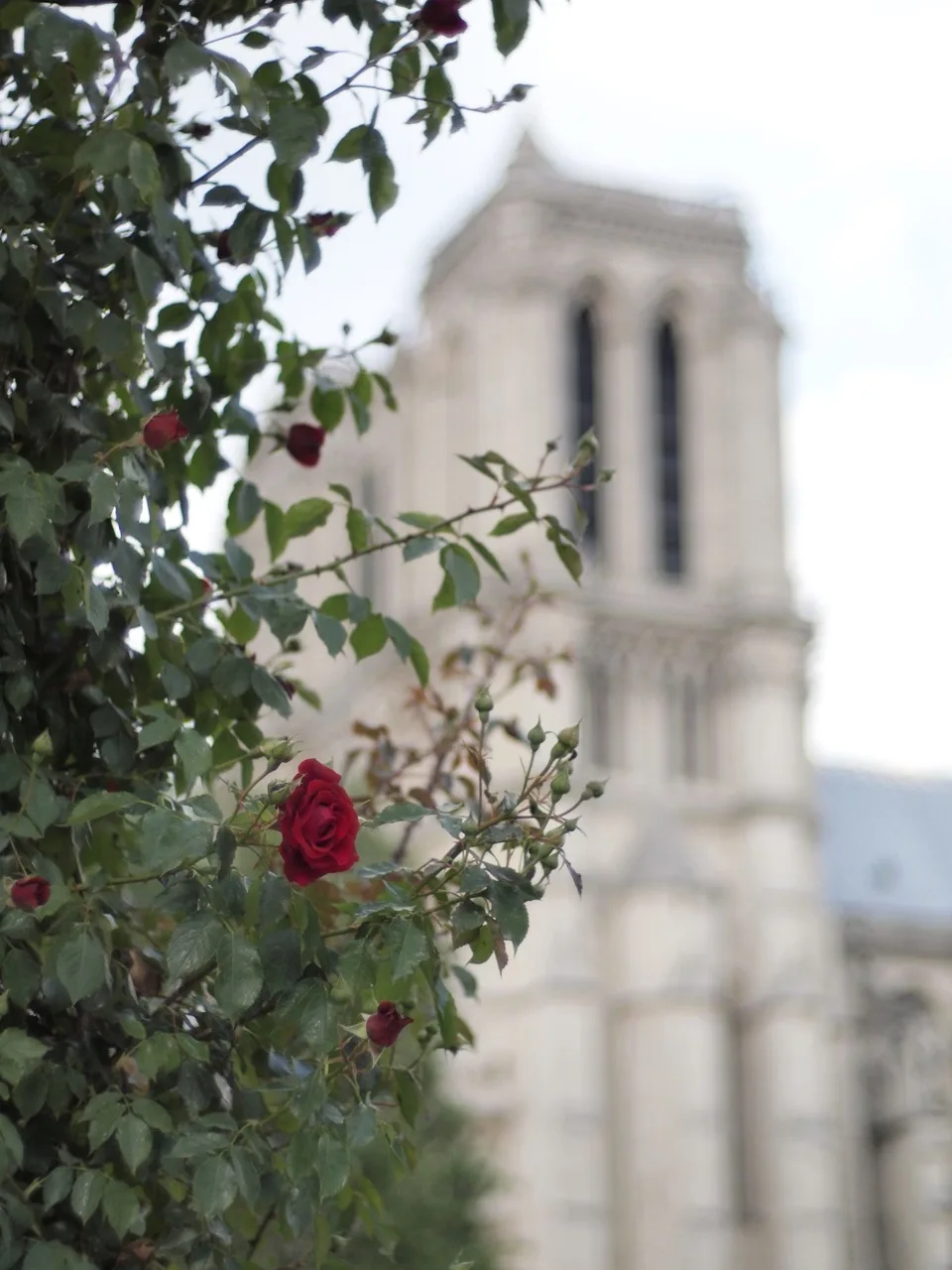 Visiter Paris en Famille