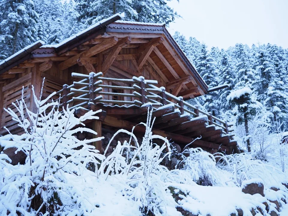 ski dans les vosges