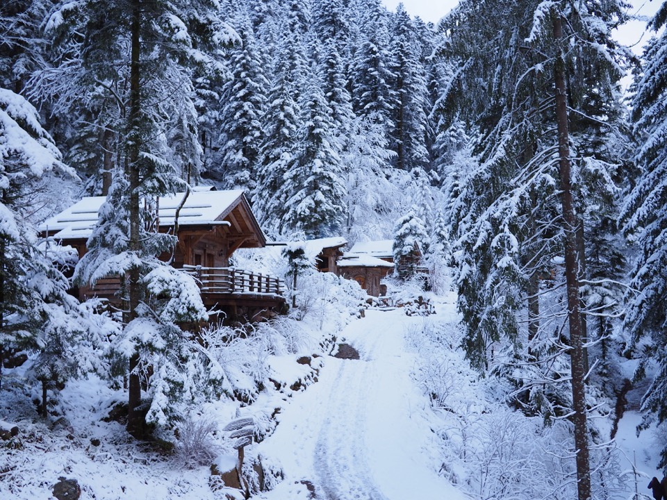 ski dans les vosges