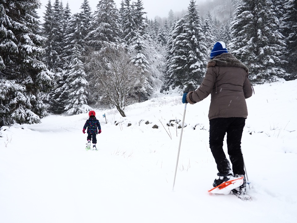 ski dans les vosges
