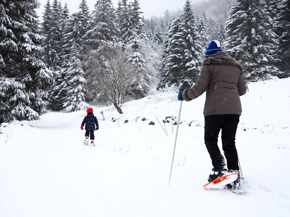 ski dans les vosges