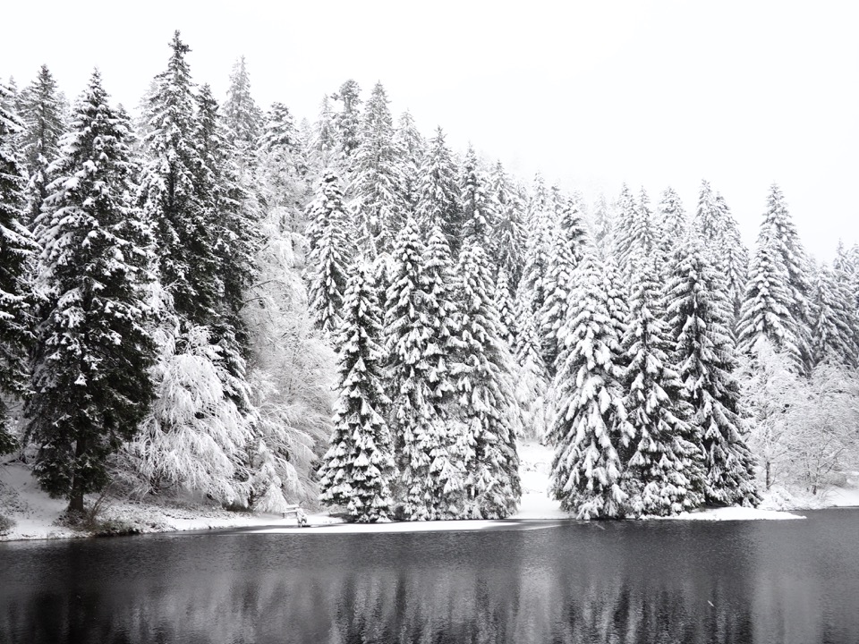 ski dans les vosges