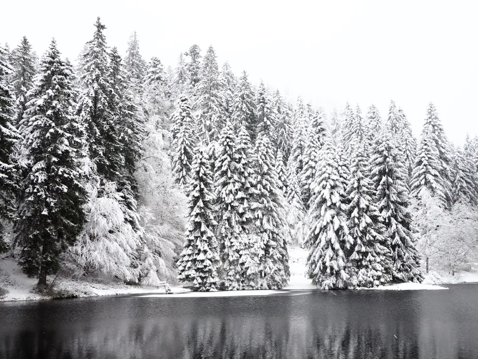 ski dans les vosges