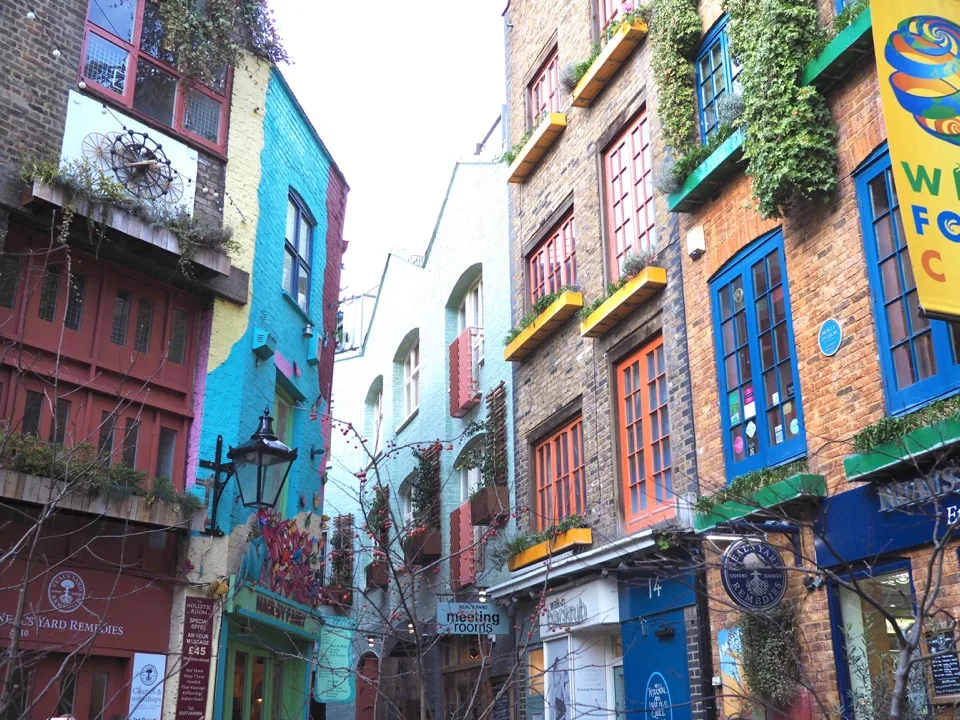 Niel's yard