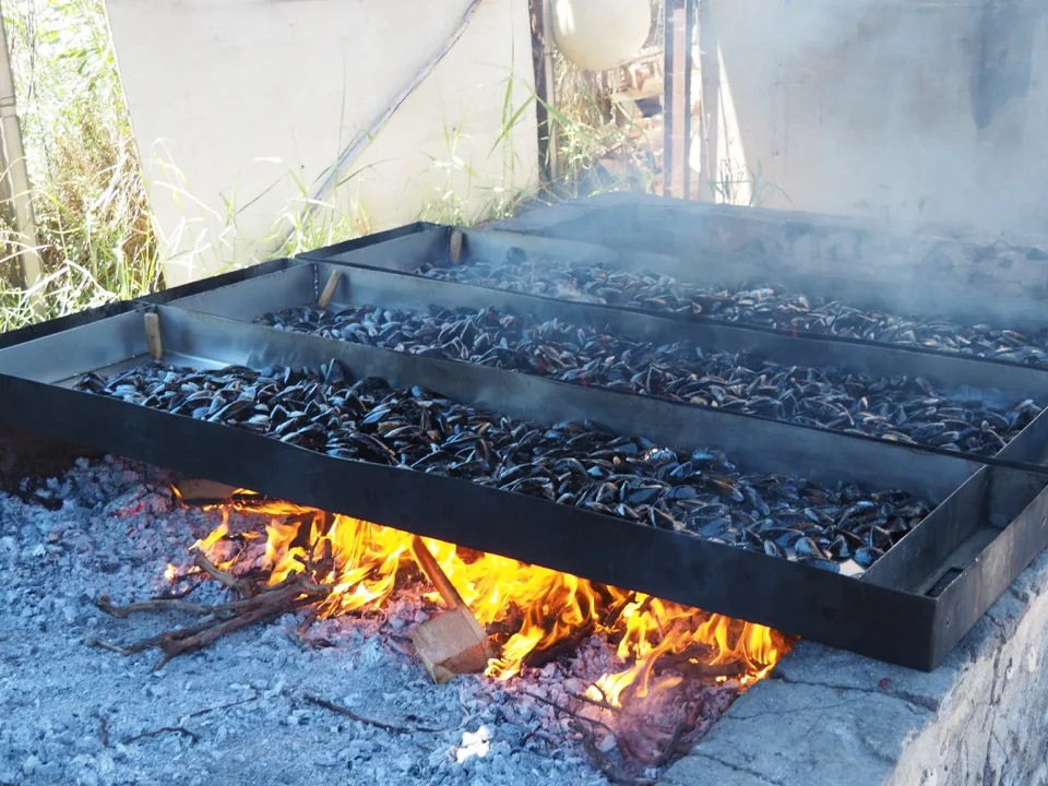 Brasucade coqui thau