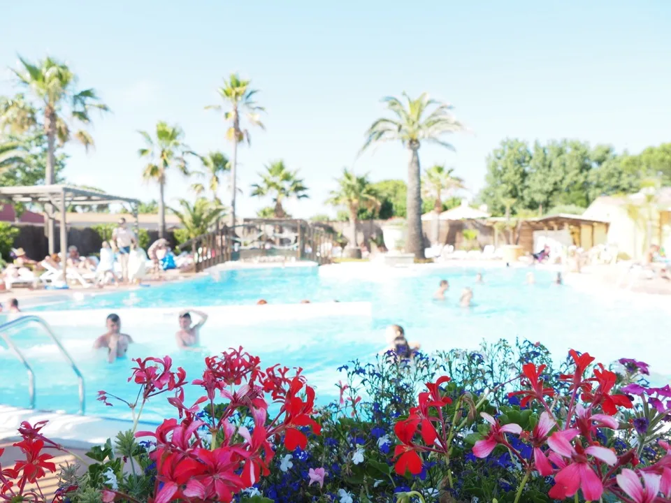 piscine camping