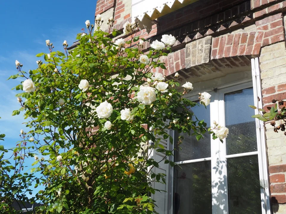 week-end à veules les roses