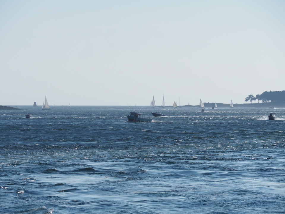 Golfe du Morbihan