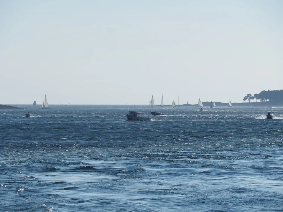 Golfe du Morbihan