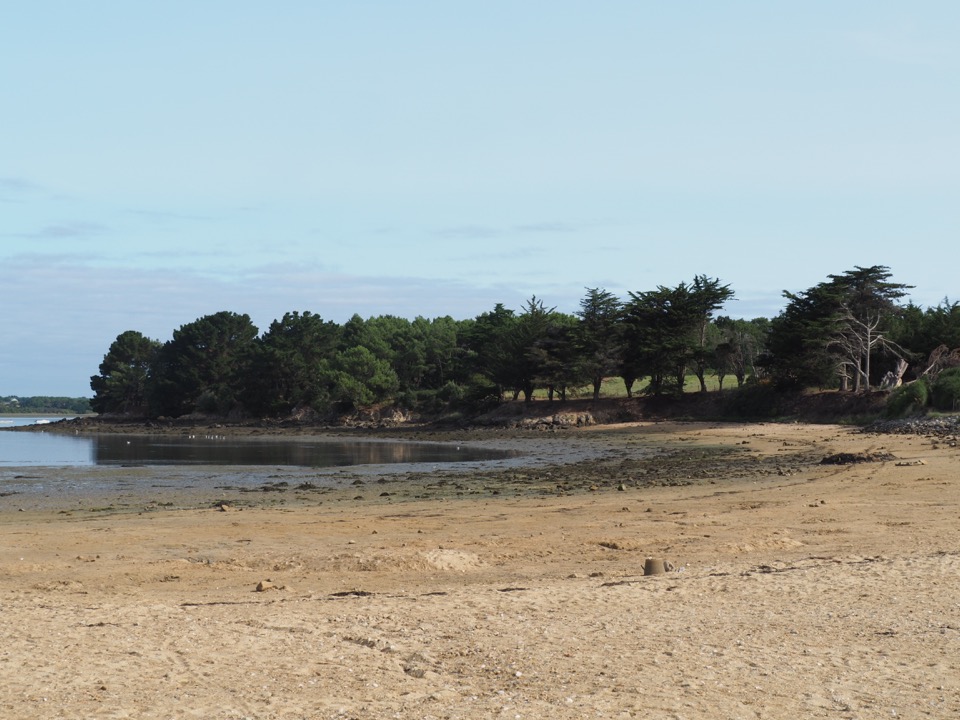 Golfe du Morbihan