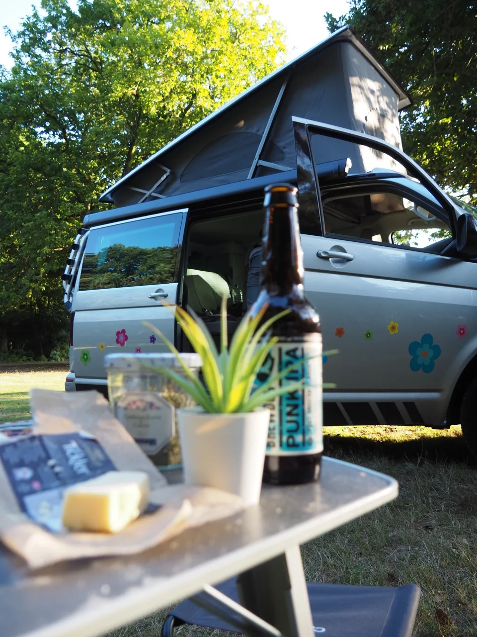 camping New Forest