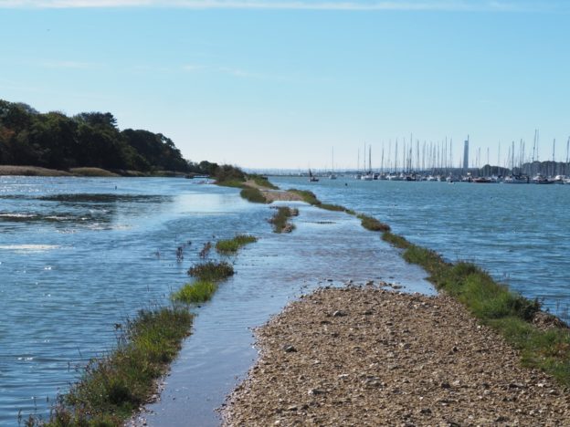 Notre vie en Angleterre (semaine 6) : la tête dans les étoiles et les pieds dans l’eau !