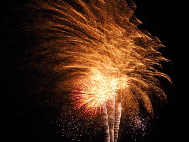 Notre vie en Angleterre (semaine 10) : feux d’artifice, retour à l’école et coquelicots bleus.